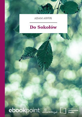 Okładka książki/ebooka Do Sokołów