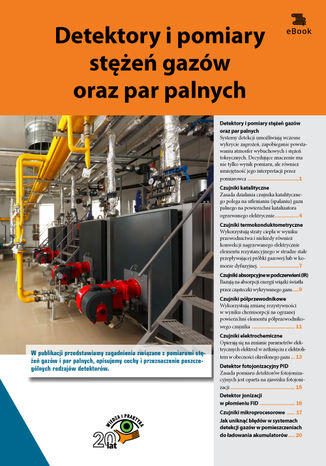 Okładka książki/ebooka Detektory i pomiary stężeń gazów oraz par palnych