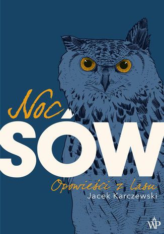 Okładka książki/ebooka Noc Sów