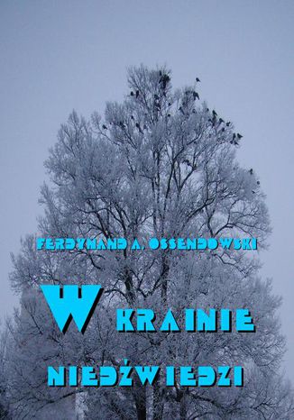 Okładka książki/ebooka W krainie niedźwiedzi