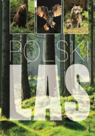 Okładka książki/ebooka Polski Las
