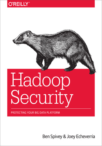 Okładka książki/ebooka Hadoop Security. Protecting Your Big Data Platform