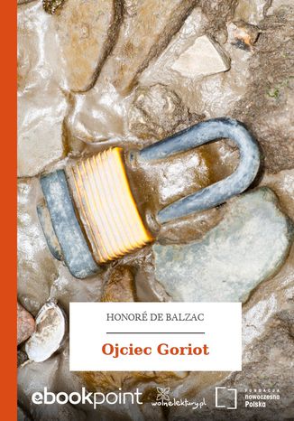 Okładka książki/ebooka Ojciec Goriot