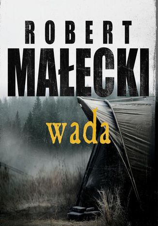 Okładka książki/ebooka Wada