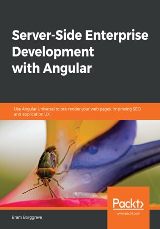 Okładka książki/ebooka Server-Side Enterprise Development with Angular