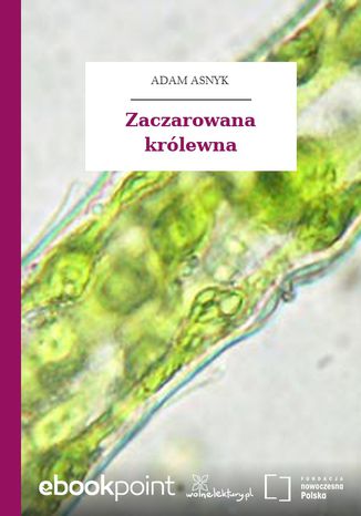 Okładka książki/ebooka Zaczarowana królewna
