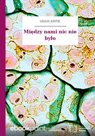 Okładka książki/ebooka Między nami nic nie było