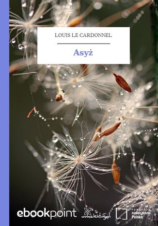 Okładka książki/ebooka Asyż