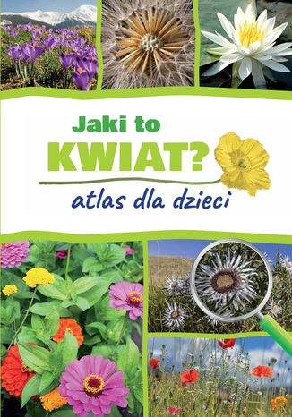 Okładka książki/ebooka Jaki to kwiat. Atlas dla dzieci