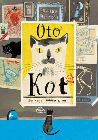 Okładka książki/ebooka Oto kot
