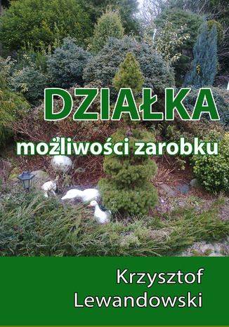 Dziaka. Moliwoci zarobku Krzysztof Lewandowski - okadka audiobooka MP3