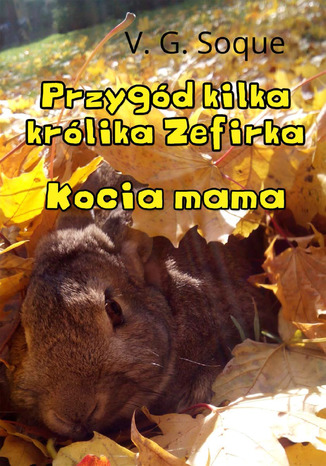Przygd kilka krlika Zefirka. Kocia mama V.G. Soque - okadka audiobooks CD