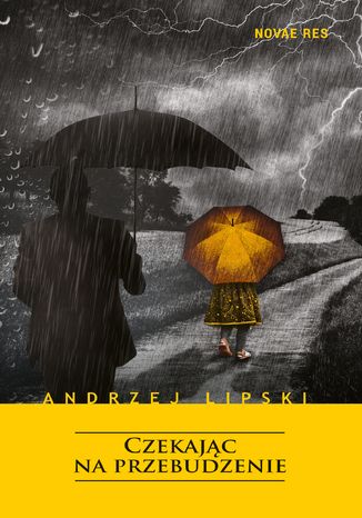 Czekajc na przebudzenie Andrzej Lipski - okadka audiobooks CD