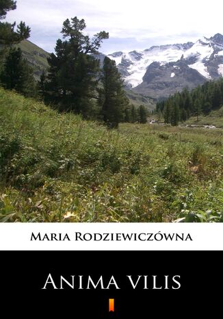 Anima vilis Maria Rodziewiczwna - okadka audiobooks CD