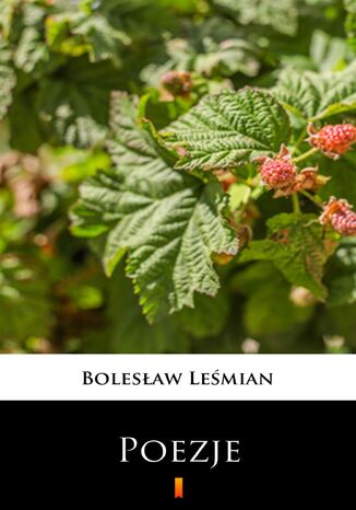 Poezje. Wybr Bolesaw Lemian - okadka audiobooks CD