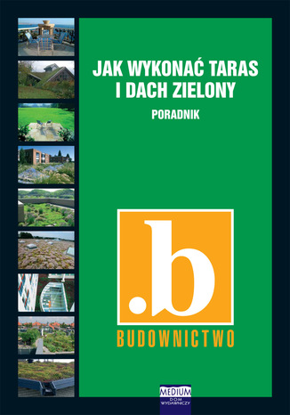 Jak wykonać taras i dach zielony. Poradnik