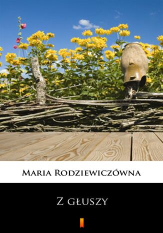Z guszy Maria Rodziewiczwna - okadka audiobooks CD