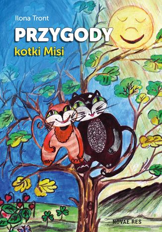 Przygody kotki Misi Ilona Tront - okadka audiobooka MP3