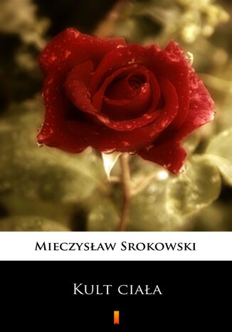 Kult ciaa. Dziennik czowieka samotnego Mieczysaw Srokowski - okadka audiobooka MP3