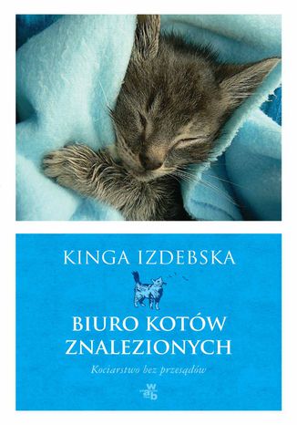 Biuro kotów znalezionych