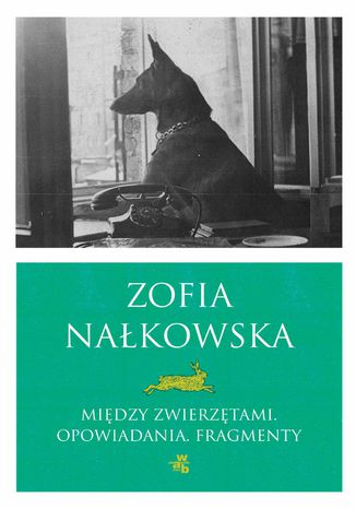 Midzy zwierztami. Opowiadania i fragmenty Zofia Nakowska - okadka audiobooka MP3