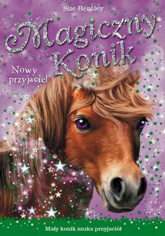 Nowy przyjaciel. Magiczny konik