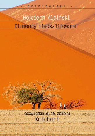 Diamenty nieoszlifowane Wojciech Albiski - okadka audiobooks CD