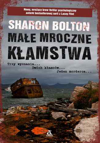Mae mroczne kamstwa Sharon Bolton - okadka ebooka