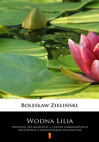 Okładka:Wodna Lilia. Opowieść dla młodzieży z czasów najkrwawszych walk Indian z amerykanskimi kolonistami 