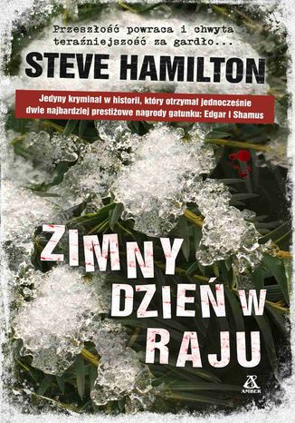 Zimny dzie w raju Steve Hamilton - okadka ebooka