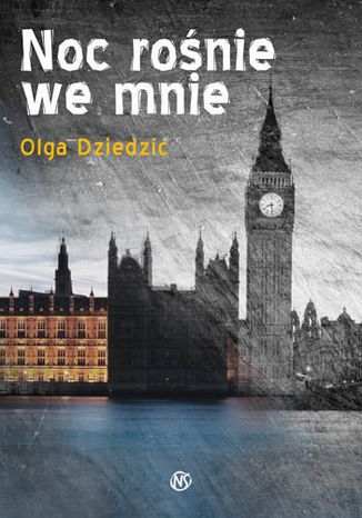 Noc ronie we mnie Olga Dziedzic - okadka audiobooka MP3