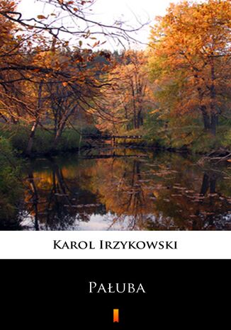 Pauba Karol Irzykowski - okadka ebooka