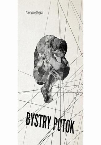 Bystry Potok Przemysaw Chojecki - okadka audiobooks CD