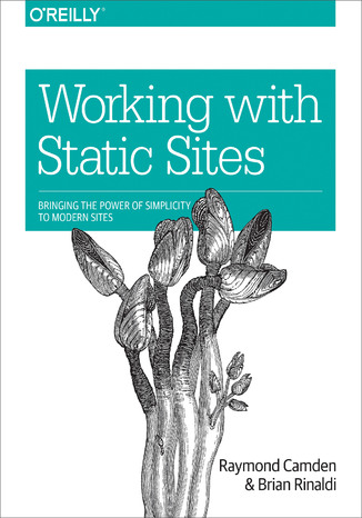 Working with Static Sites. Bringing the Power of Simplicity to Modern Sites Raymond Camden, Brian Rinaldi - okładka książki