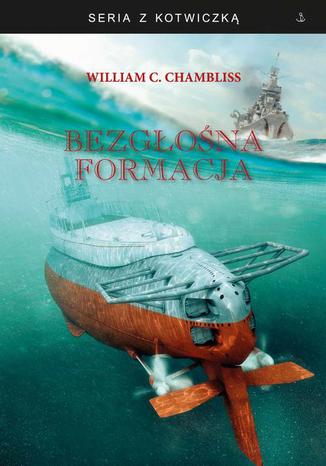 Bezgona formacja William C. Chambliss - okadka ebooka