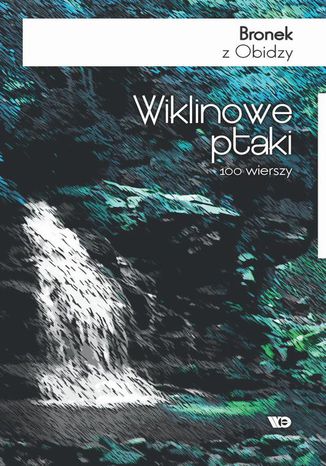 Wiklinowe ptaki Bronek z Obidzy - okadka audiobooks CD