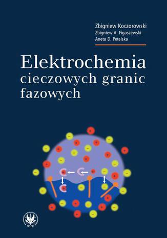 Elektrochemia cieczowych granic fazowych Zbigniew Koczorowski, Zbigniew A. Figaszewski, Aneta D. Petelska - okadka ebooka