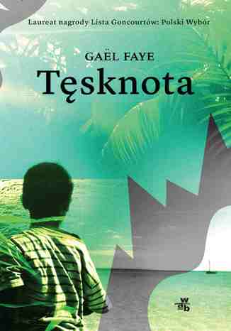 Tsknota Gael Faye - okadka ebooka