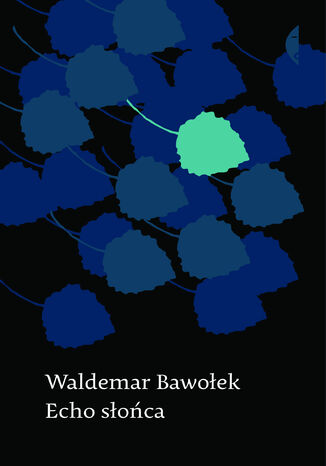 Echo soca Waldemar Bawoek - okadka audiobooks CD