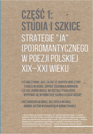 Strategie Jacek Brzozowski, Krystyna Pietrych - okadka ebooka