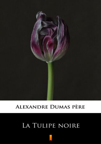 La Tulipe noire Alexandre Dumas pere - okadka ebooka
