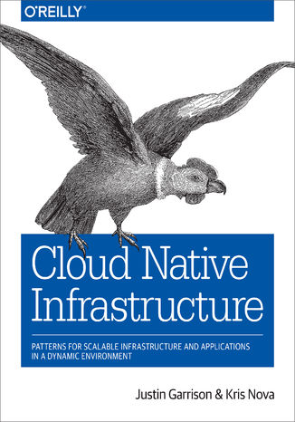 Cloud Native Infrastructure. Patterns for Scalable Infrastructure and Applications in a Dynamic Environment Justin Garrison, Kris Nova - okadka ebooka