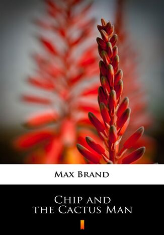 Chip and the Cactus Man Max Brand - okadka ebooka