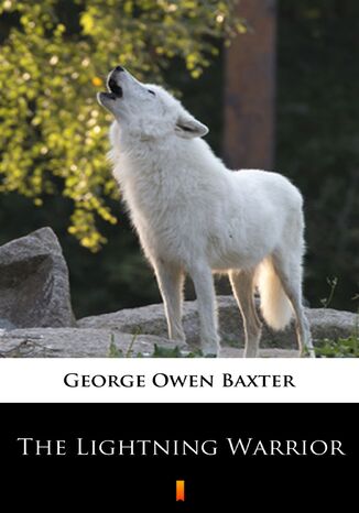 The Lightning Warrior George Owen Baxter - okadka audiobooks CD