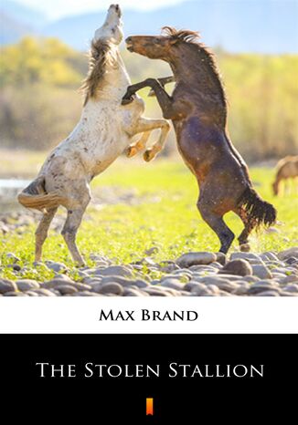 The Stolen Stallion Max Brand - okadka ebooka