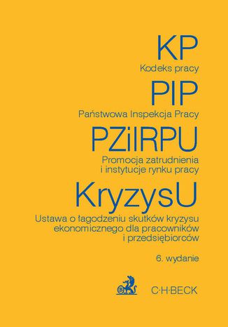 Kodeks pracy Państwowa Inspekcja Pracy Promocja zatrudnienia i instytucje rynku pracy Ustawa o łagodzeniu skutków kryzysu ekonomicznego dla pracowników i przedsiębiorców
