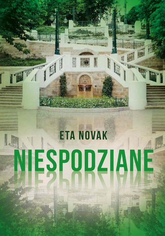 Niespodziane Eta Novak - okadka ebooka