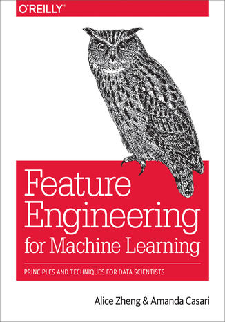 Feature Engineering for Machine Learning. Principles and Techniques for Data Scientists Alice Zheng, Amanda Casari - okadka audiobooka MP3