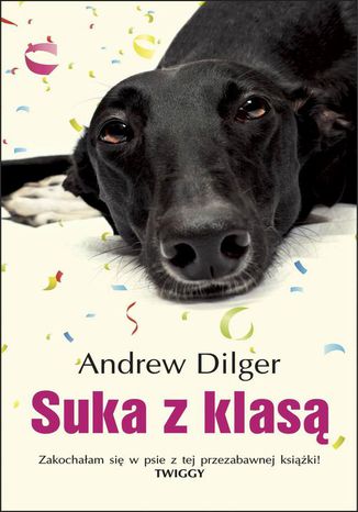 Suka z klas Andrew Dilger - okadka audiobooks CD