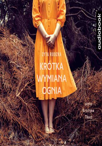 Krótka wymiana ognia
